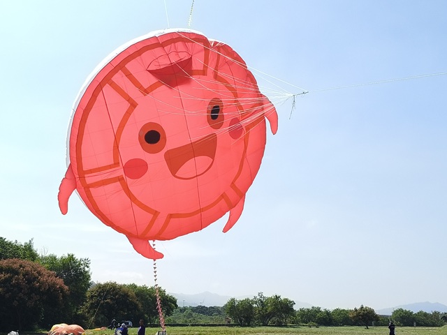 苗栗2025風箏文化暨客家美食節10/...