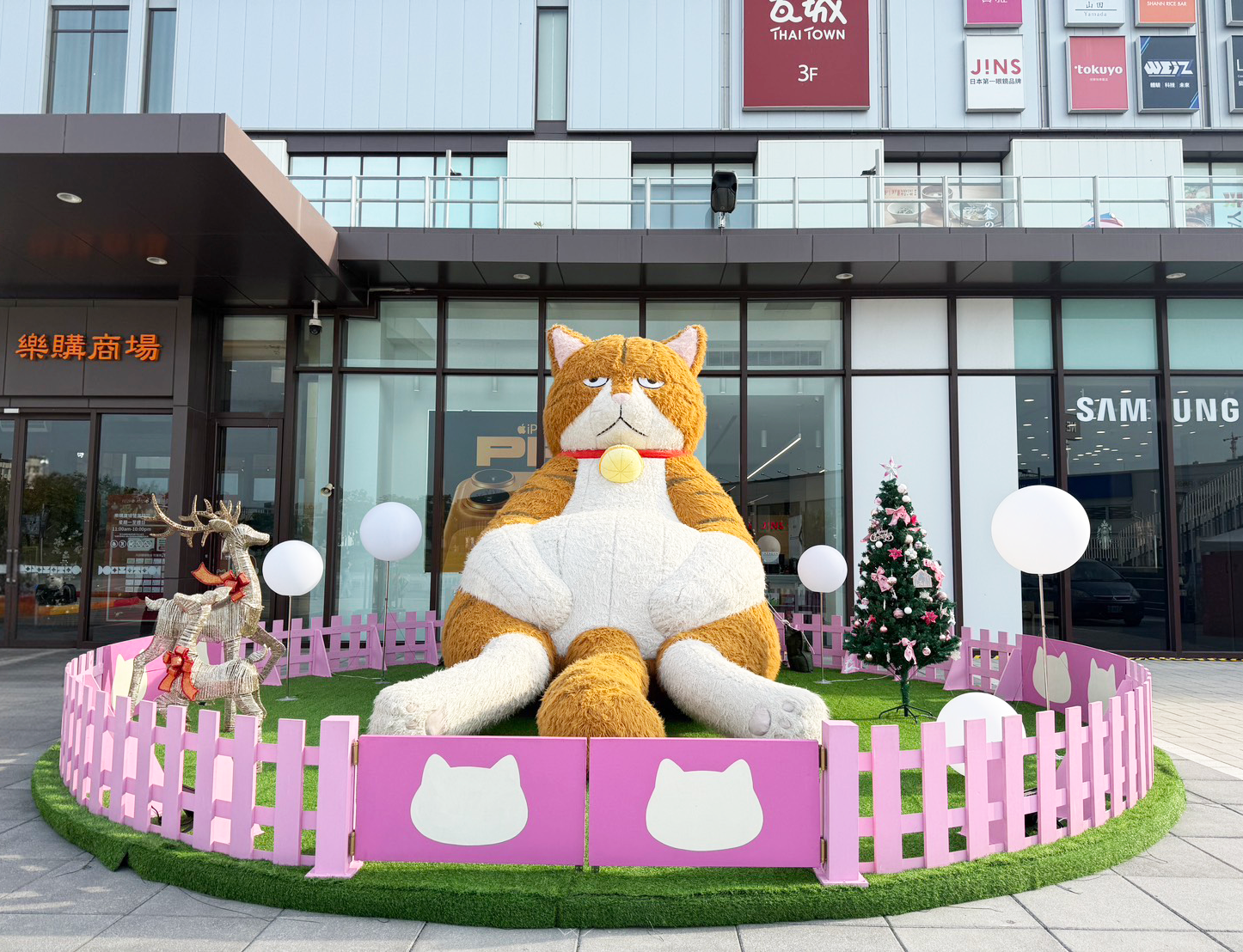 4米巨橘現岡山&#xFF01;厭世萌&#x300C;橘貓重重&#x300D;霸氣...