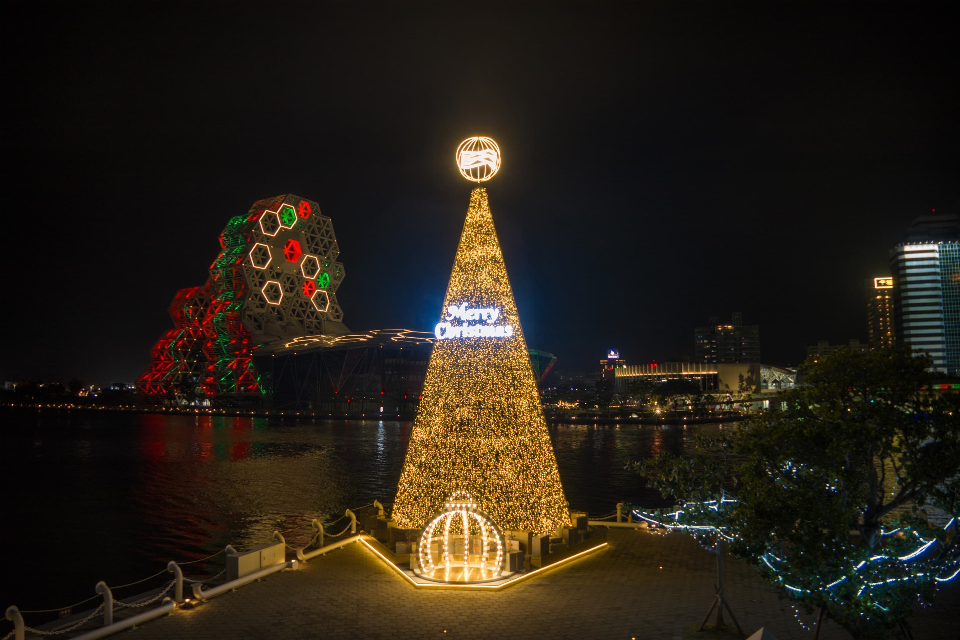 美感爆棚！港灣絕美聖誕樹「金勾TREE...