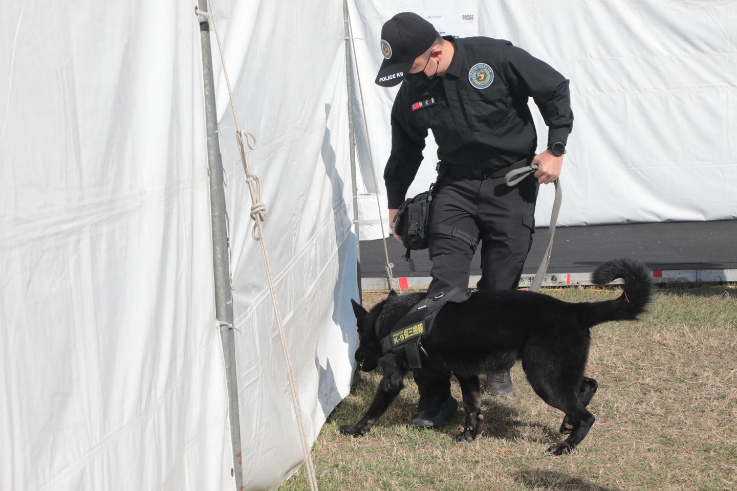 台南瘋跨年！豪華卡司加3,500發煙花...